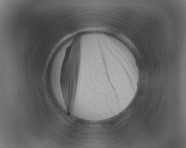 X0000081390628200702090038