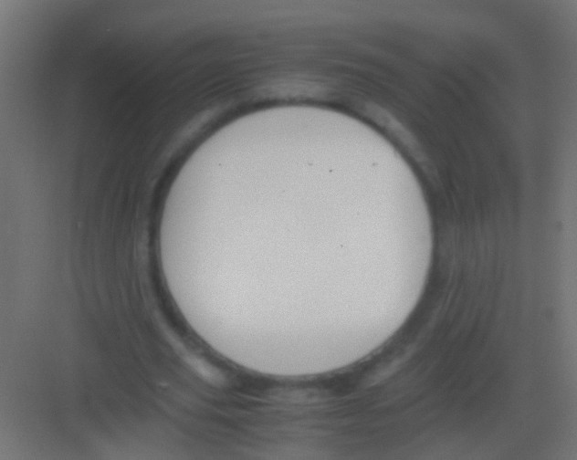 X0000081390629200702090039