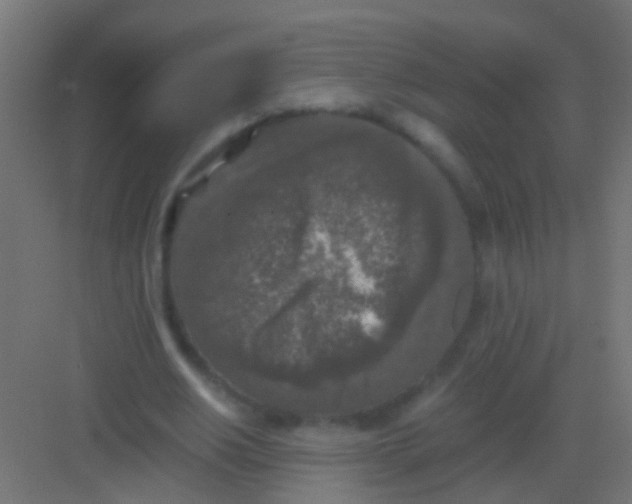 X0000081390630200702090039