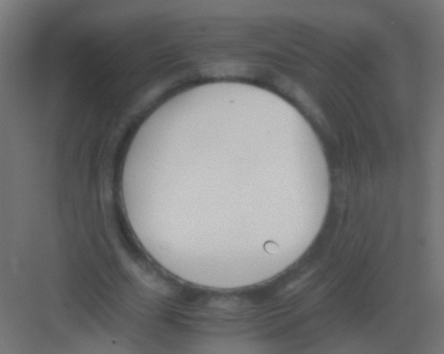 X0000081390631200702090039