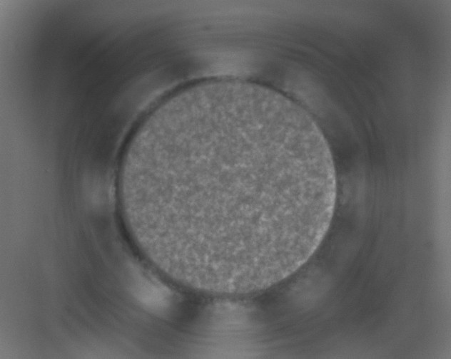 X0000081390632200702090039