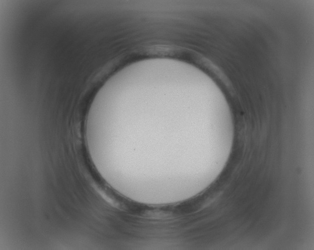 X0000081390633200702090039