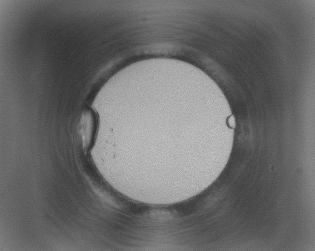 X0000081390636200702090039