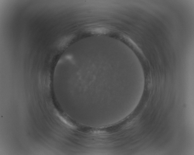 X0000081390637200702090039