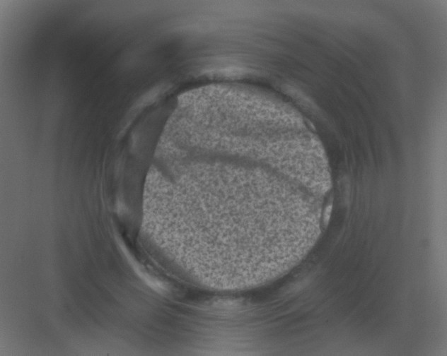 X0000081390638200702090039