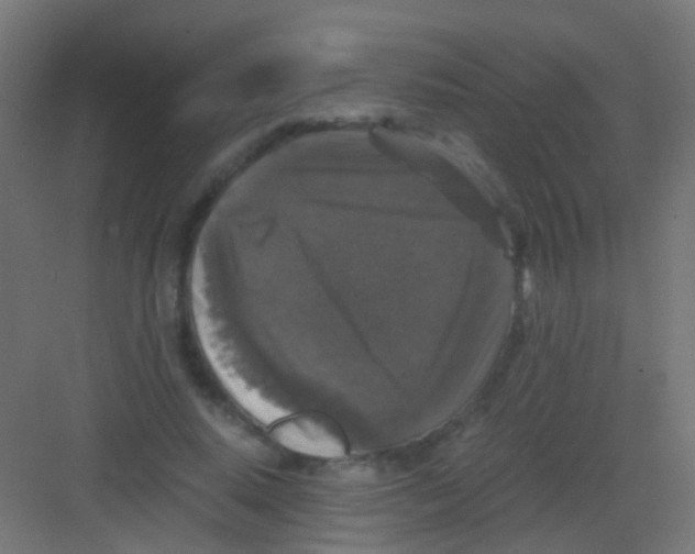 X0000081390640200702090039