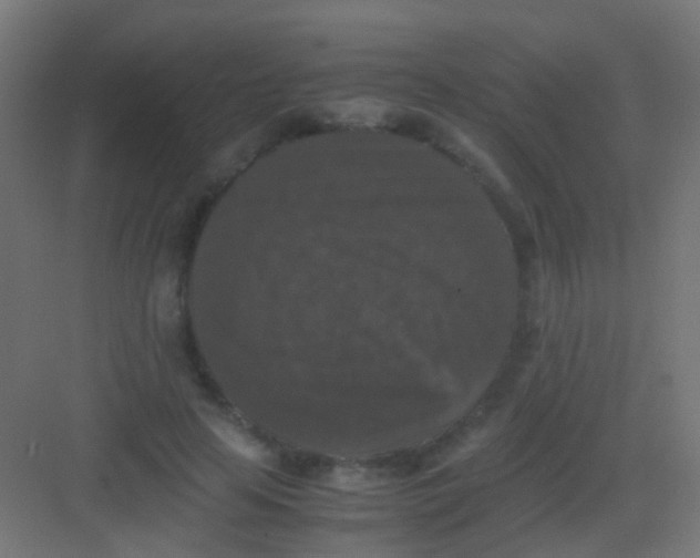 X0000081390641200702090039