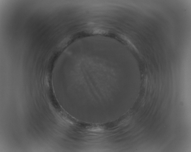 X0000081390643200702090039