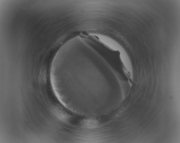 X0000081390644200702090039