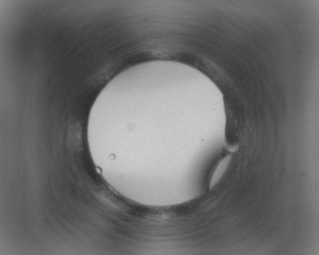 X0000081390646200702090039