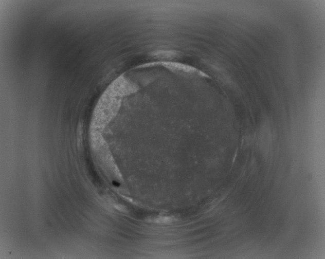 X0000081390647200702090039