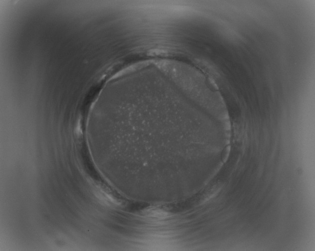 X0000081390648200702090039