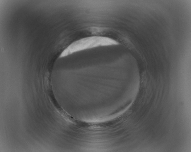 X0000081390650200702090039