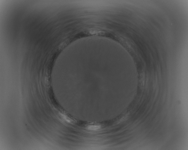 X0000081390653200702090039