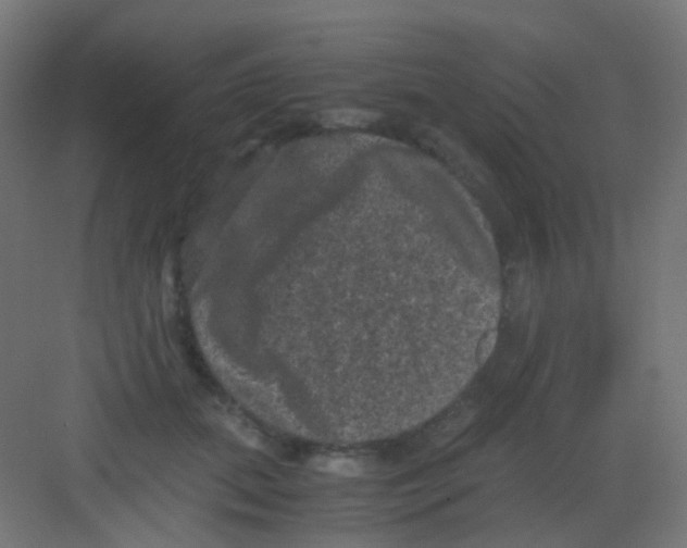 X0000081390655200702090039