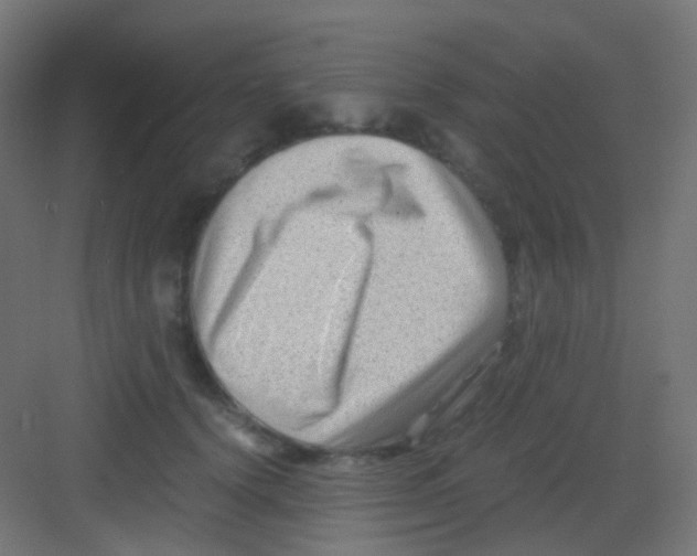 X0000081390656200702090039