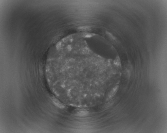 X0000081390658200702090039