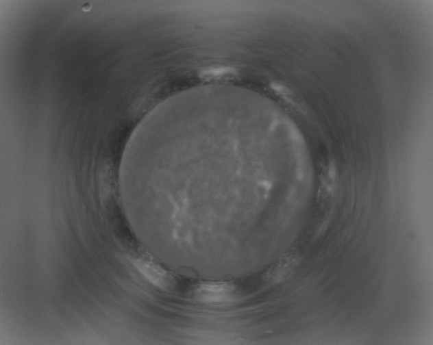 X0000081390659200702090039