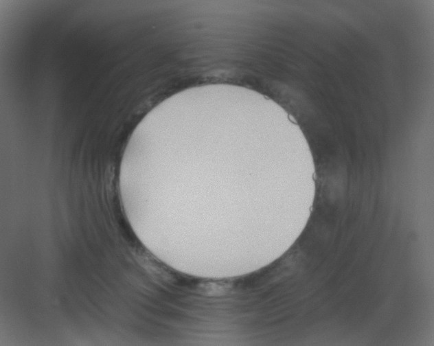 X0000081390660200702090039