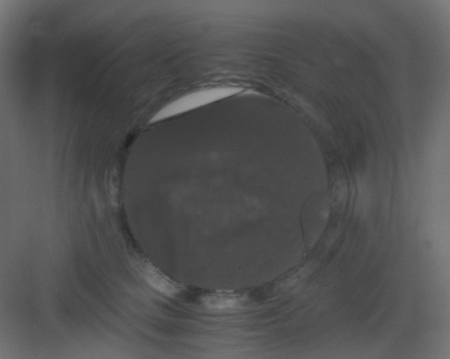 X0000081390661200702090039