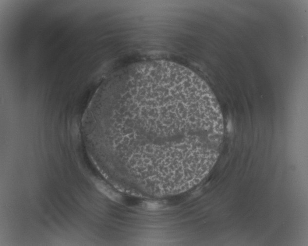 X0000081390662200702090039