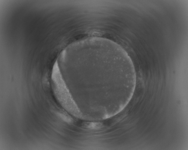 X0000081390663200702090039