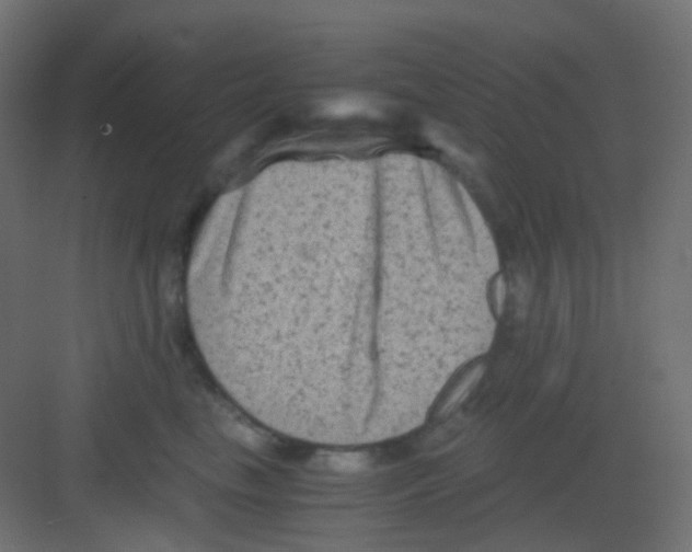 X0000081390665200702090039