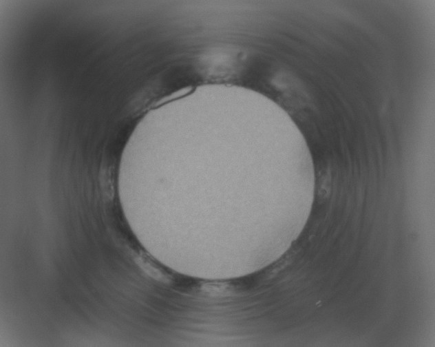 X0000081390666200702090039