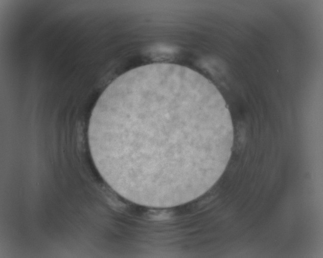 X0000081390667200702090039