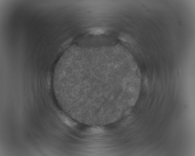 X0000081390668200702090039