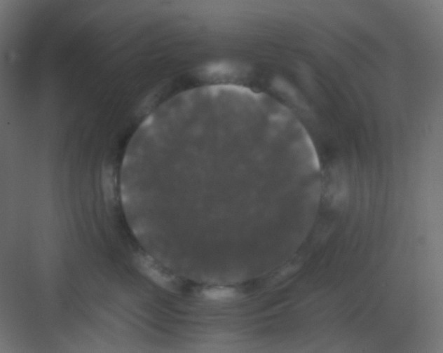 X0000081390669200702090039