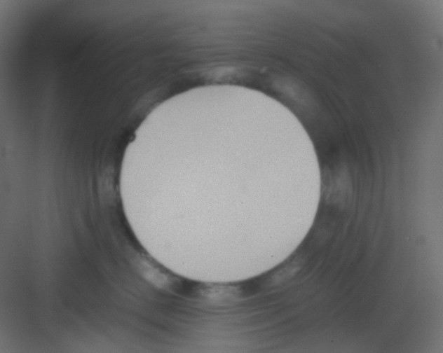 X0000081390670200702090039