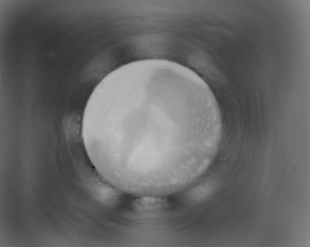 X0000081390672200702090039