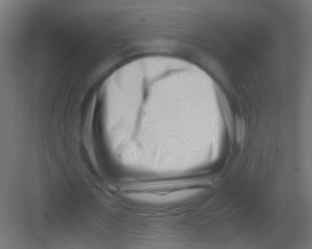 X0000081390675200702090038