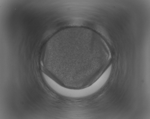 X0000081390681200702090038