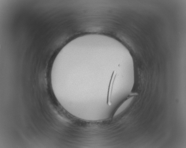 X0000081390682200702090038