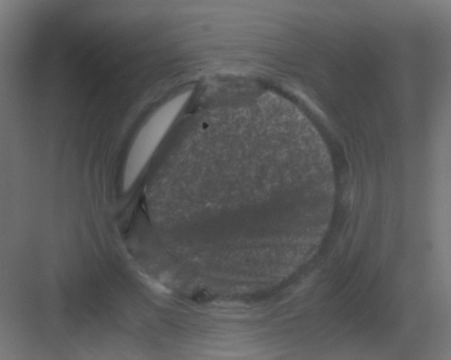 X0000081390685200702090038