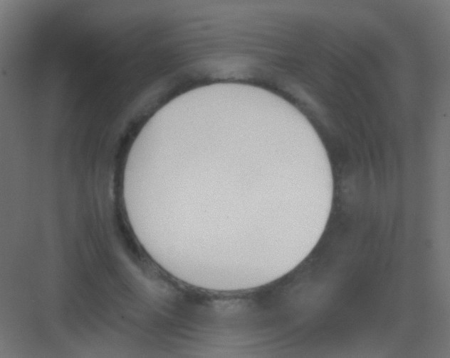 X0000081390686200702090038