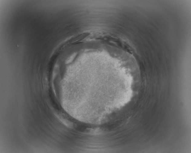 X0000081390688200702090038