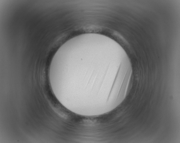 X0000081390690200702090038