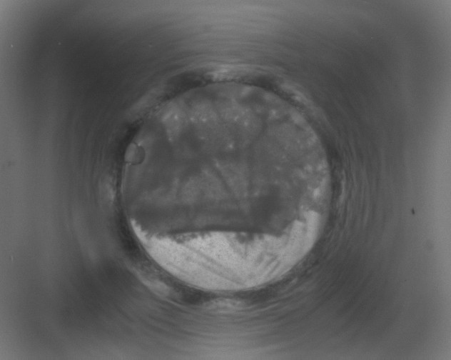 X0000081390691200702090038