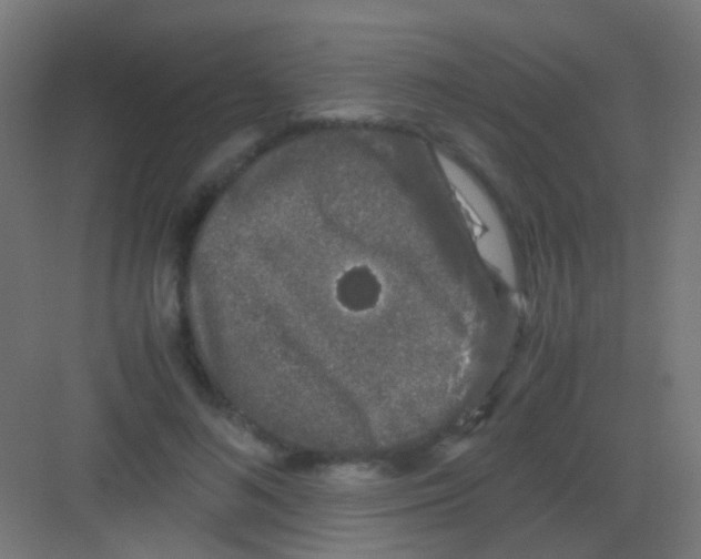 X0000081390692200702090038