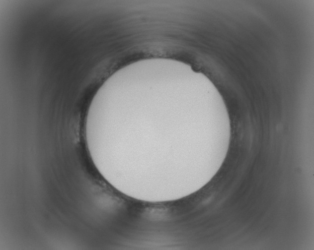 X0000081390694200702090038