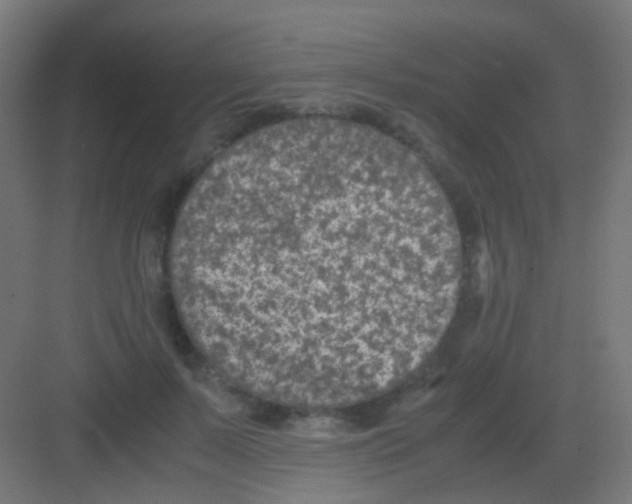 X0000081390695200702090038