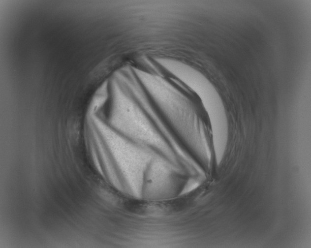 X0000081390697200702090038