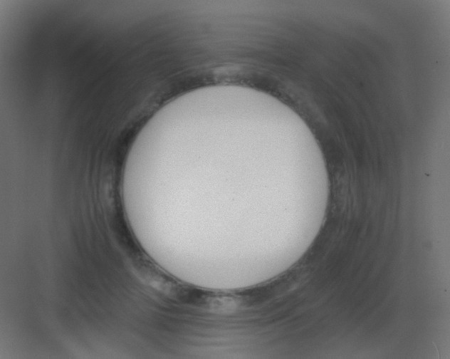 X0000081390698200702090038