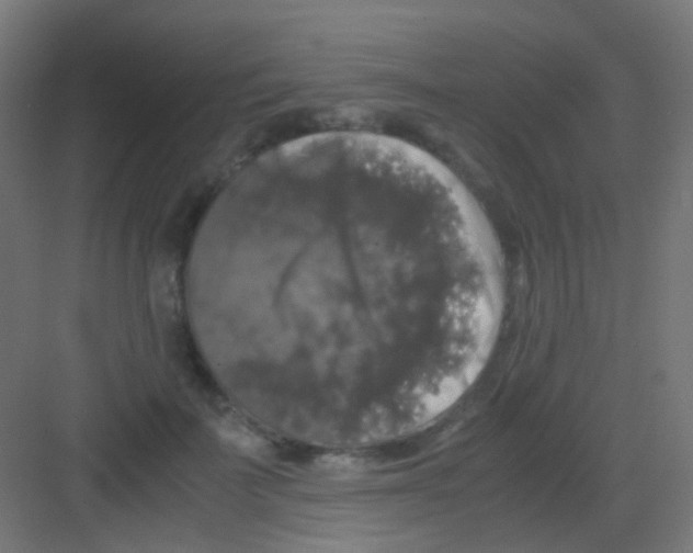 X0000081390699200702090038