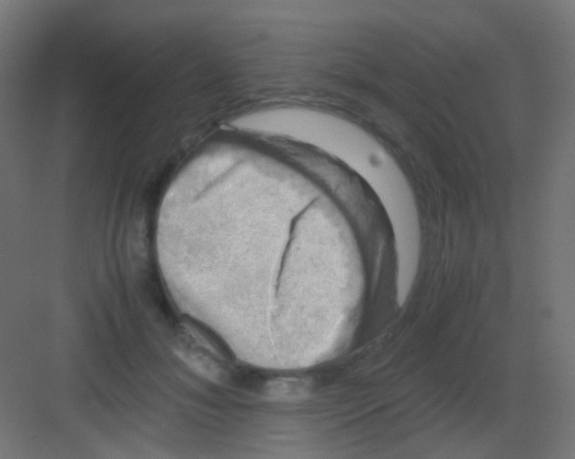 X0000081390700200702090038