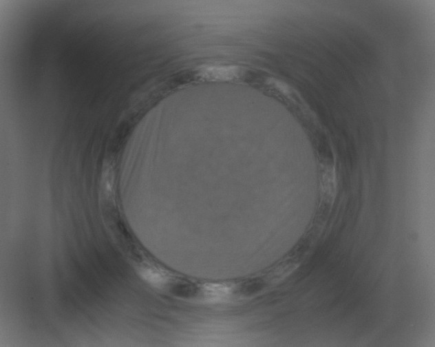 X0000081390701200702090038