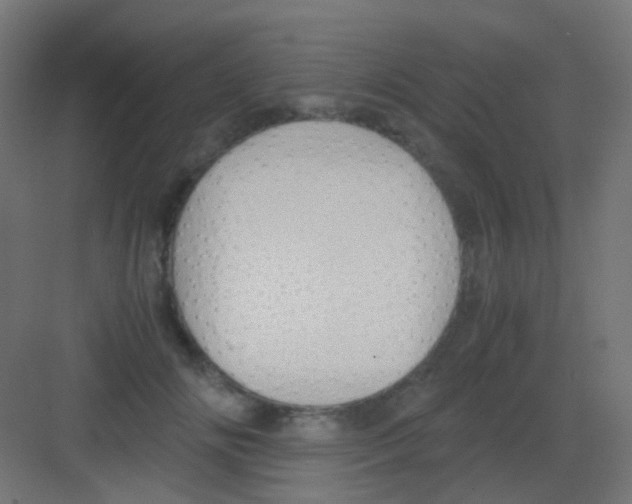 X0000081390702200702090038